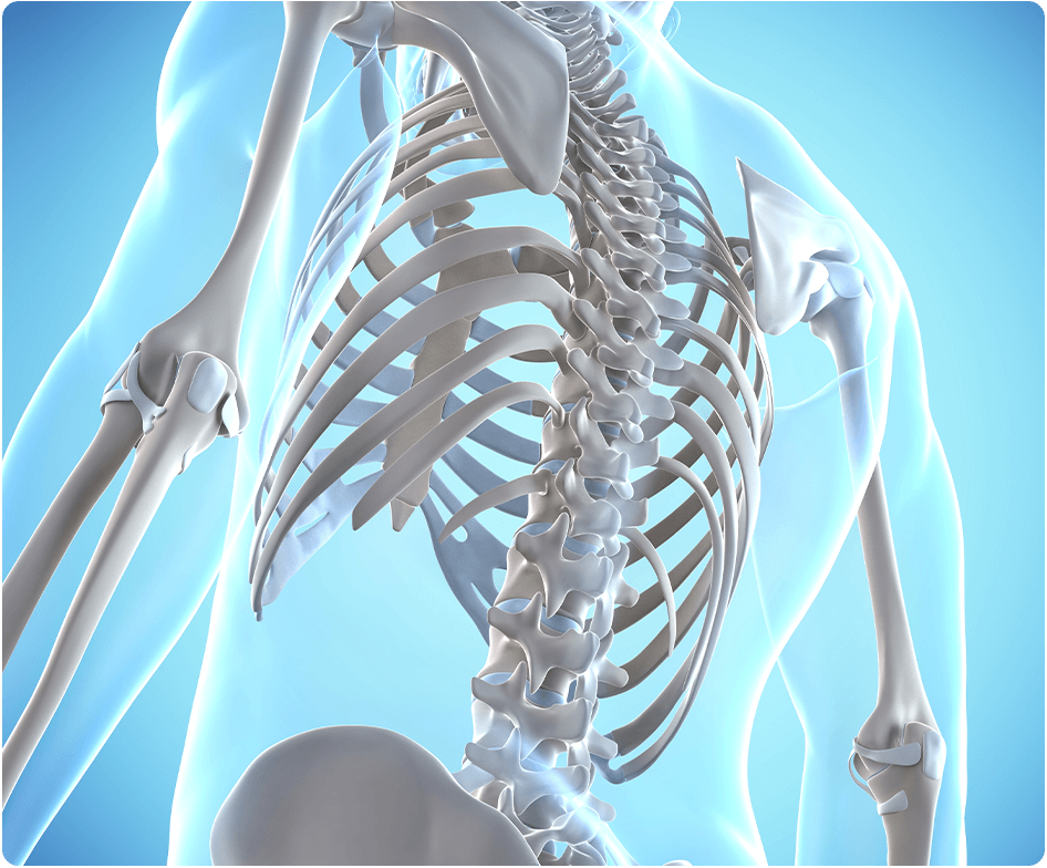 Bone