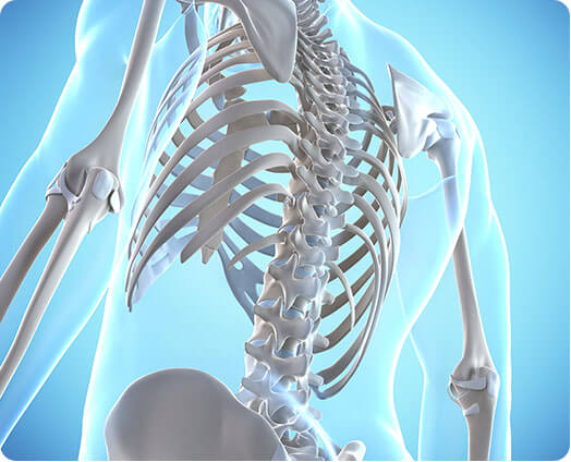 Bone